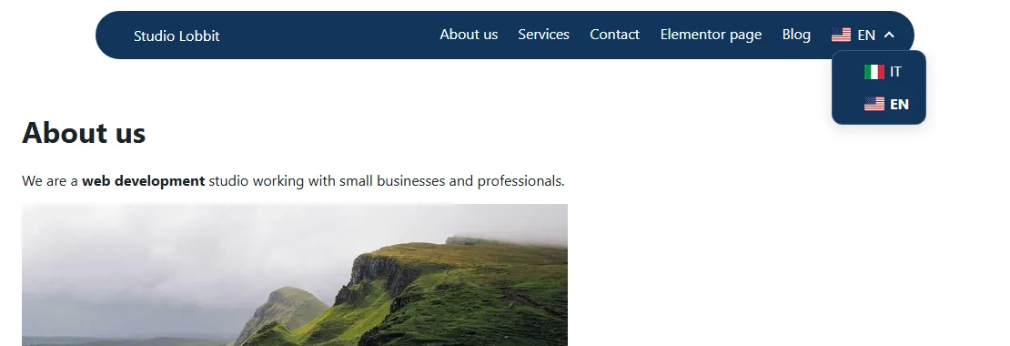El desplegable de idiomas abierto en un tema que imprime el menú por su cuenta, con el fondo del header